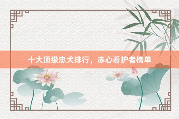 十大顶级忠犬排行，赤心看护者榜单