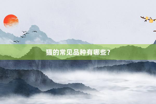 猫的常见品种有哪些？
